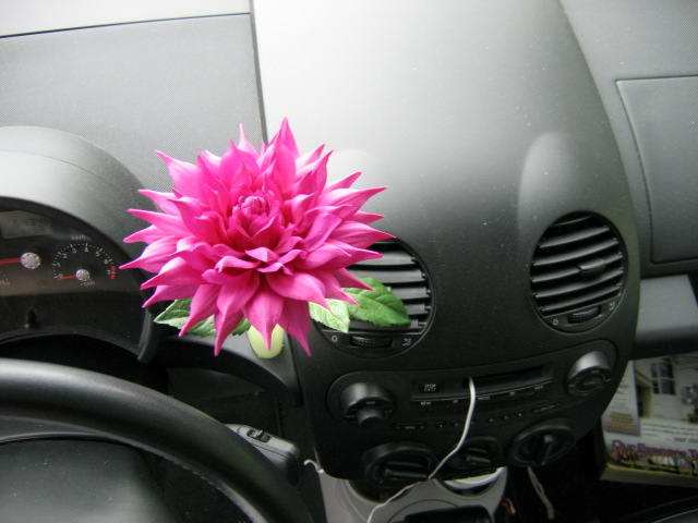 CameraDump_2005_06_13 006.jpg