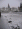 Snow-004.gif
