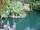 California_Springbreak2007 105 copy.jpg