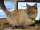 new_cat 007.jpg