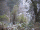 Snow-003.gif