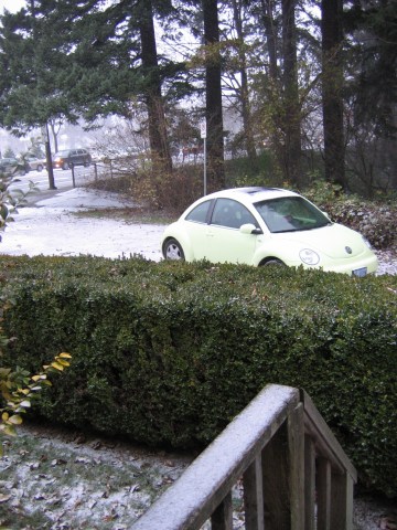 Snow 001.jpg