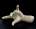 FigureModel_Hand 012 copy.jpg