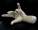 FigureModel_Hand 020 copy.jpg