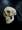 FigureModel_Skull 003 copy.jpg