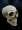 FigureModel_Skull 005 copy.jpg