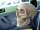 FigureModel_Skull 014 copy.jpg